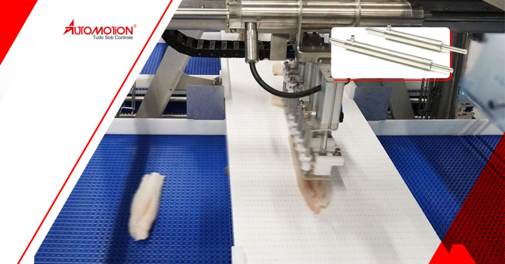 Como separar e movimentar o pescado utilizando motores lineares